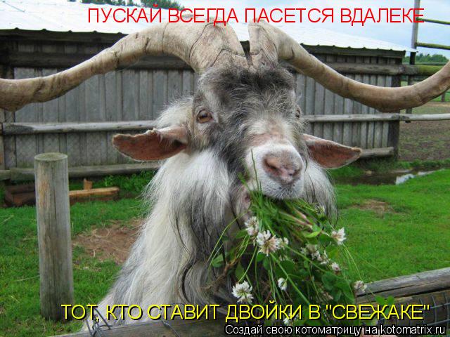 ПУСКАЙ ВСЕГДА ПАСЕТСЯ ВДАЛЕКЕ ТОТ, КТО СТАВИТ ДВОЙКИ В "СВЕЖАКЕ"... Котоматрица: ПУСКАЙ ВСЕГДА ПАСЕТСЯ ВДАЛЕКЕ ТОТ, КТО СТАВИТ ДВОЙКИ В "СВЕЖАКЕ"
