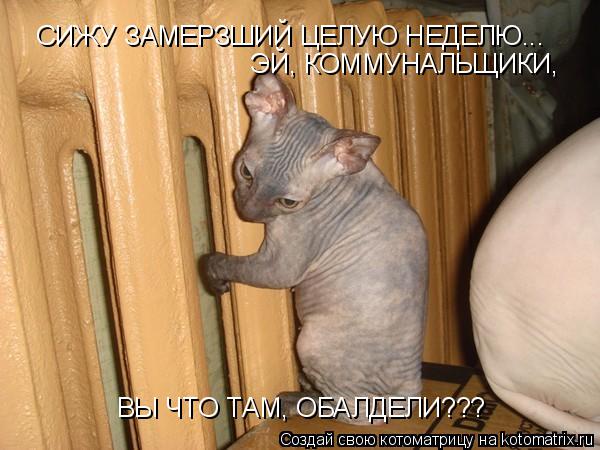 СИЖУ ЗАМЕРЗШИЙ ЦЕЛУЮ НЕДЕЛЮ... ЭЙ, КОММУНАЛЬЩИКИ, ВЫ ЧТО ТАМ, ОБАЛДЕЛИ???... Котоматрица: СИЖУ ЗАМЕРЗШИЙ ЦЕЛУЮ НЕДЕЛЮ... ЭЙ, КОММУНАЛЬЩИКИ, ВЫ ЧТО ТАМ, ОБАЛДЕЛИ???