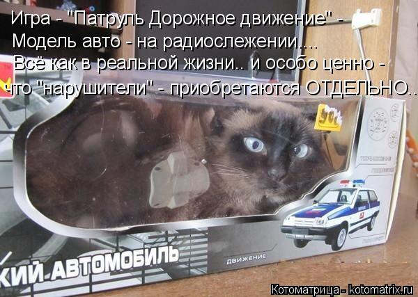 Игра - "Патруль Дорожное движение" - Модель авто - на радиослежении.... Всё как в реальной жизни.. и ... Котоматрица: Игра - "Патруль Дорожное движение" - Модель авто - на радиослежении.... Всё как в реальной жизни.. и особо ценно - что "нарушители" - приобретаютс