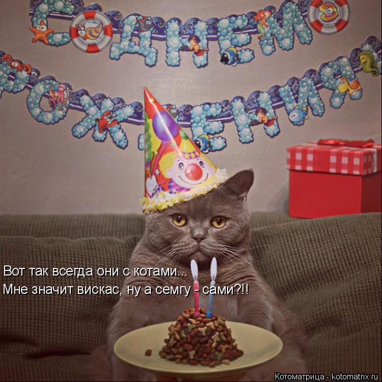 Вот так всегда они с котами... Мне значит вискас, ну а семгу - сами?!!... Котоматрица: Вот так всегда они с котами... Мне значит вискас, ну а семгу - сами?!!