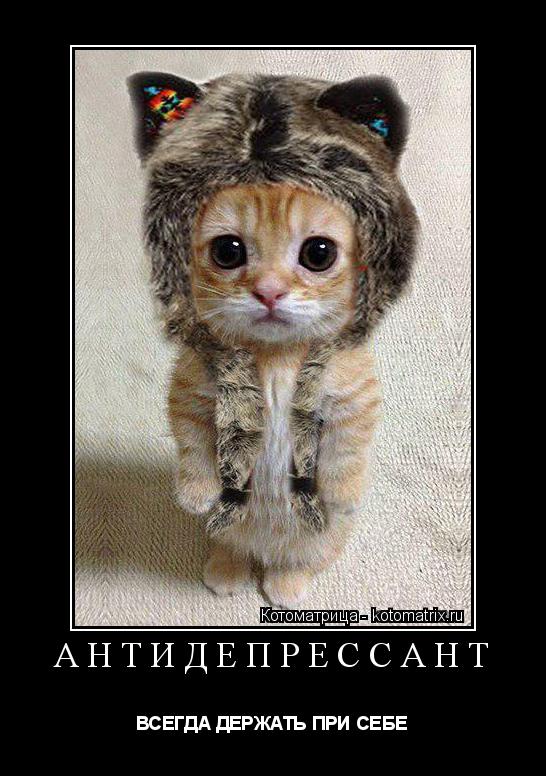 АНТИДЕПРЕССАНТ ВСЕГДА ДЕРЖАТЬ ПРИ СЕБЕ... Котоматрица: АНТИДЕПРЕССАНТ ВСЕГДА ДЕРЖАТЬ ПРИ СЕБЕ