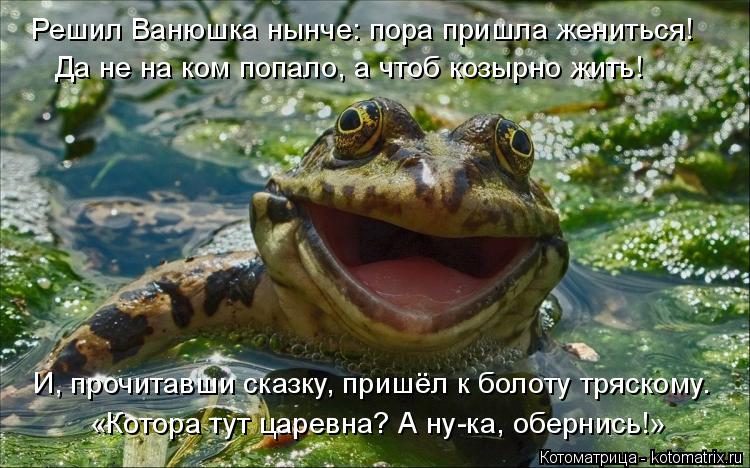 Решил Ванюшка нынче: пора пришла жениться! Да не на ком попало, а чтоб козырно жить! И, прочитавши ск... Котоматрица: Решил Ванюшка нынче: пора пришла жениться! Да не на ком попало, а чтоб козырно жить! И, прочитавши сказку, пришёл к болоту тряскому. «Котора т
