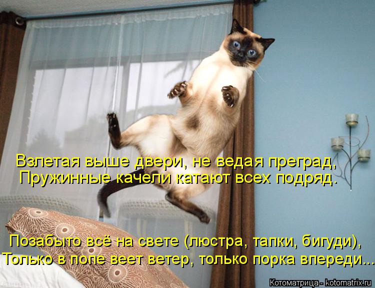 Позабыто всё на свете (люстра, тапки, бигуди), Только в попе веет ветер, только порка впереди... Пруж... Котоматрица: Позабыто всё на свете (люстра, тапки, бигуди), Только в попе веет ветер, только порка впереди... Пружинные качели катают всех подряд. Взлетая в