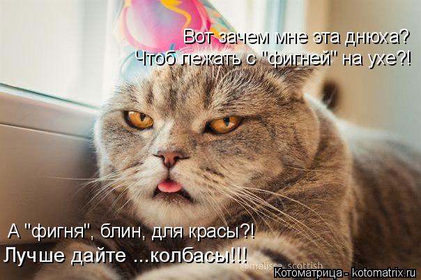 Вот зачем мне эта днюха? Чтоб лежать с "фигней" на ухе?! А "фигня", блин, для красы?! Лучше дайте ...... Котоматрица: Вот зачем мне эта днюха? Чтоб лежать с "фигней" на ухе?! А "фигня", блин, для красы?! Лучше дайте ...колбасы!!!