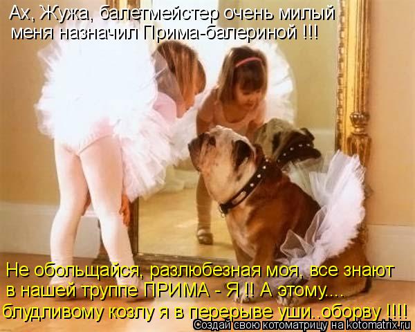 Ах, Жужа, балетмейстер очень милый меня назначил Прима-балериной !!! Не обольщайся, разлюбезная моя, ... Котоматрица: Ах, Жужа, балетмейстер очень милый меня назначил Прима-балериной !!! Не обольщайся, разлюбезная моя, все знают в нашей труппе ПРИМА - Я !! А это