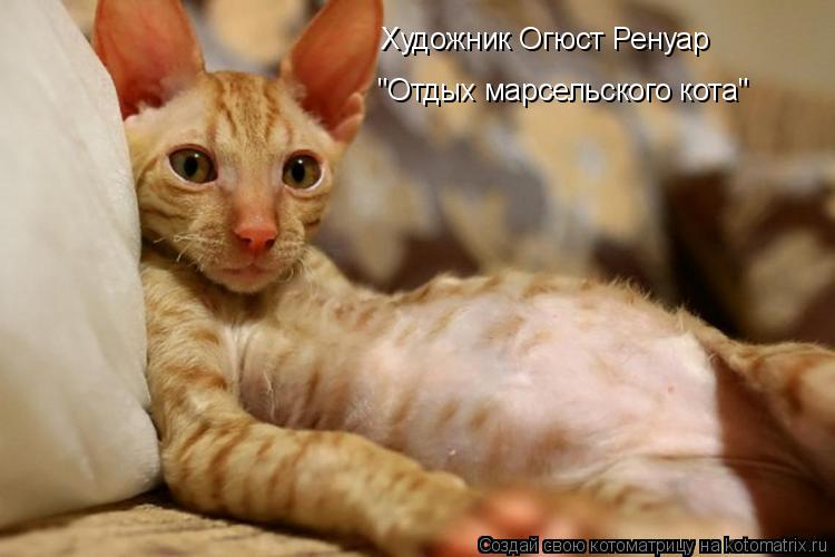 Художник Огюст Ренуар "Отдых марсельского кота"... Котоматрица: Художник Огюст Ренуар "Отдых марсельского кота"