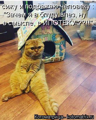 в смысле, в ИПОТЕКУ ??!!" "Зачем я в блуду влез, ну сижу и подражаю человеку :... Котоматрица: в смысле, в ИПОТЕКУ ??!!" "Зачем я в блуду влез, ну сижу и подражаю человеку :