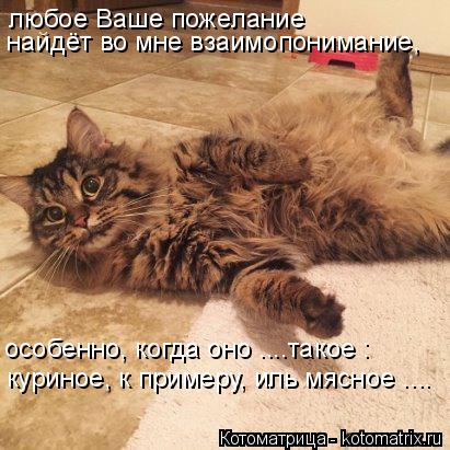 Котоматрица: любое Ваше пожелание  найдёт во мне взаимопонимание, особенно, когда оно ....такое : куриное, к примеру, иль мясное ....