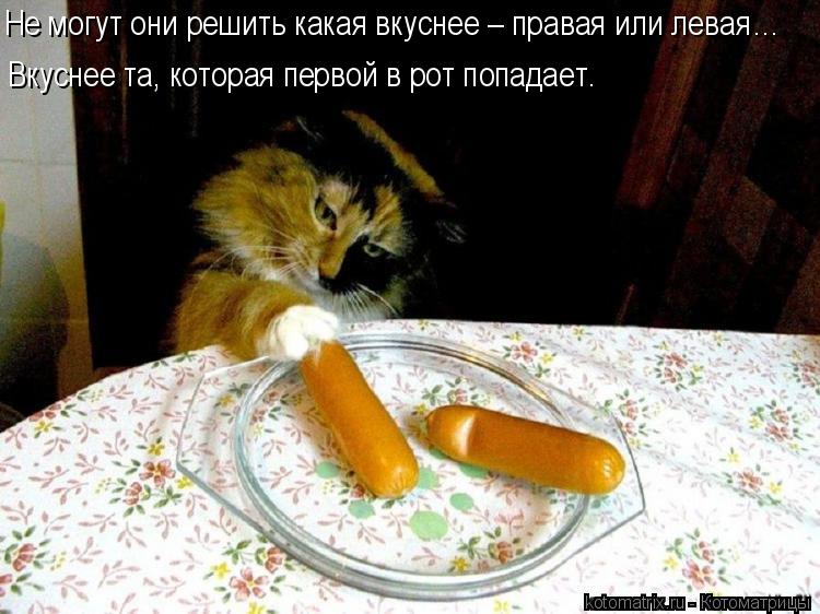 Не могут они решить какая вкуснее – правая или левая… Вкуснее та, которая первой в рот попадает.... Котоматрица: Не могут они решить какая вкуснее – правая или левая… Вкуснее та, которая первой в рот попадает.