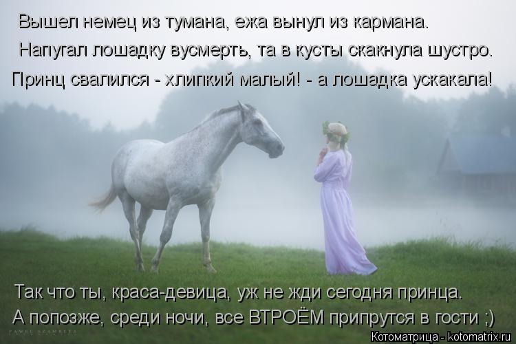 Вышел немец из тумана, ежа вынул из кармана. Напугал лошадку вусмерть, та в кусты скакнула шустро. Пр... Котоматрица: Вышел немец из тумана, ежа вынул из кармана. Напугал лошадку вусмерть, та в кусты скакнула шустро. Принц свалился - хлипкий малый! - а лошадка