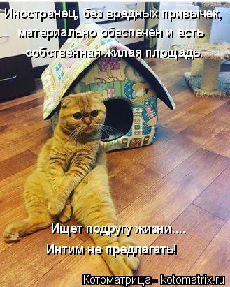 материально обеспечен и есть собственная жилая площадь. Ищет подругу жизни.... Интим не предлагать! И... Котоматрица: материально обеспечен и есть собственная жилая площадь. Ищет подругу жизни.... Интим не предлагать! Иностранец, без вредных привычек,