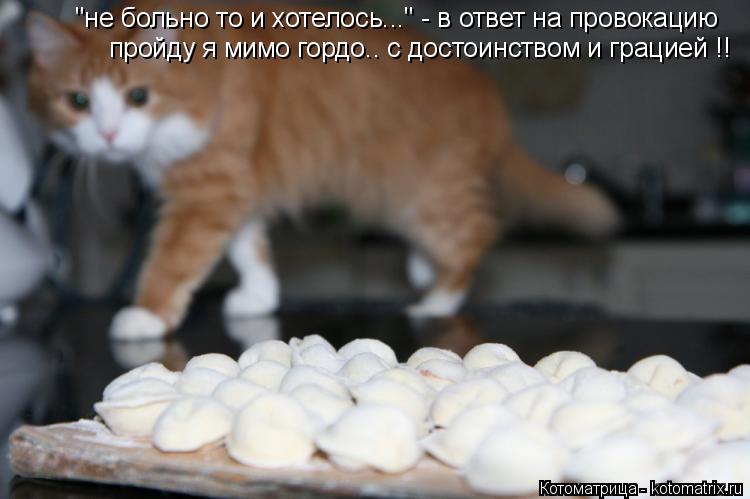пройду я мимо гордо.. с достоинством и грацией !! "не больно то и хотелось..." - в ответ на провокаци... Котоматрица: пройду я мимо гордо.. с достоинством и грацией !! "не больно то и хотелось..." - в ответ на провокацию