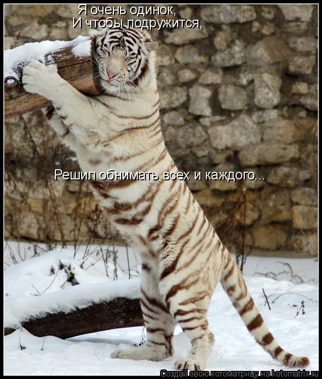 Я очень одинок, И чтобы подружится, Решил обнимать всех и каждого...... Котоматрица: Я очень одинок, И чтобы подружится, Решил обнимать всех и каждого...