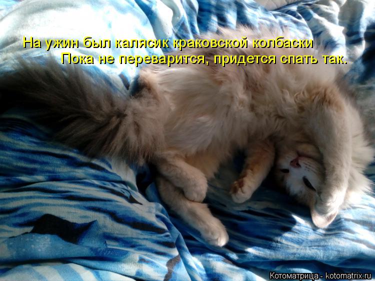 Котоматрица: На ужин был калясик краковской колбаски Пока не переварится, придется спать так.
