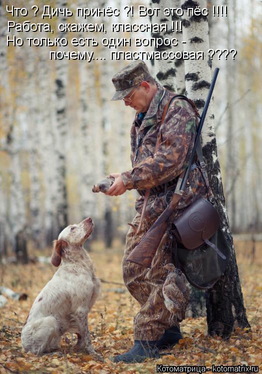 Котоматрица: Работа, скажем, классная !!! Но только есть один вопрос -  почему.... пластмассовая ???? Что ? Дичь принёс ?! Вот это пёс !!!!
