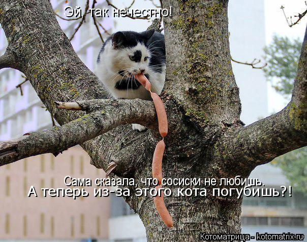 Котоматрица: Эй, так нечестно! Сама сказала, что сосиски не любишь. А теперь из-за этого кота погубишь?!