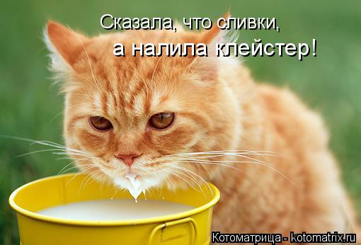 Котоматрица: Сказала, что сливки, а налила клейстер!