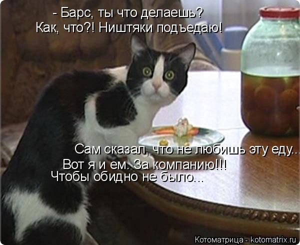 Котоматрица: - Барс, ты что делаешь? Как, что?! Ништяки подъедаю! Сам сказал, что не любишь эту еду... Вот я и ем. За компанию!!! Чтобы обидно не было...