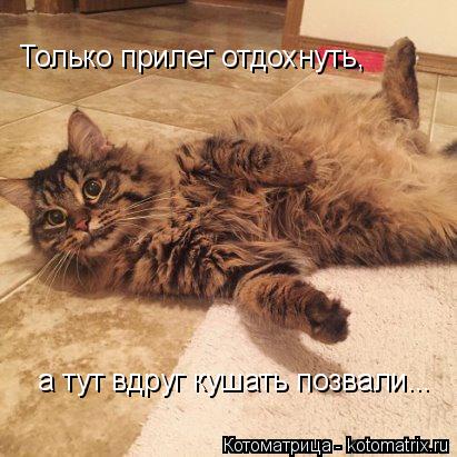 Только прилег отдохнуть, а тут вдруг кушать позвали...... Котоматрица: Только прилег отдохнуть, а тут вдруг кушать позвали...
