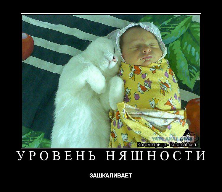 Котоматрица: УРОВЕНЬ НЯШНОСТИ  ЗАШКАЛИВАЕТ