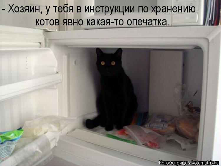 Котоматрица: - Хозяин, у тебя в инструкции по хранению котов явно какая-то опечатка.