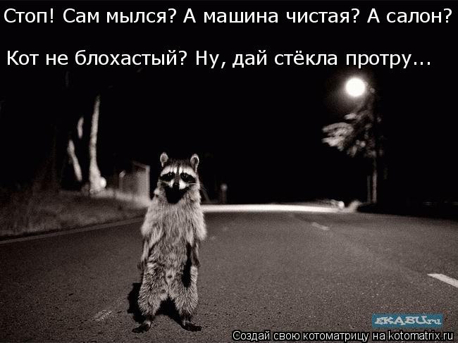Кот не блохастый? Ну, дай стёкла протру... Стоп! Сам мылся? А машина чистая? А салон?... Котоматрица: Кот не блохастый? Ну, дай стёкла протру... Стоп! Сам мылся? А машина чистая? А салон?