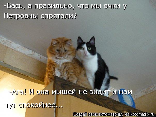 -Вась, а правильно, что мы очки у Петровны спрятали? -Ага! И она мышей не видит и нам тут спокойнее... Котоматрица: -Вась, а правильно, что мы очки у Петровны спрятали? -Ага! И она мышей не видит и нам тут спокойнее...