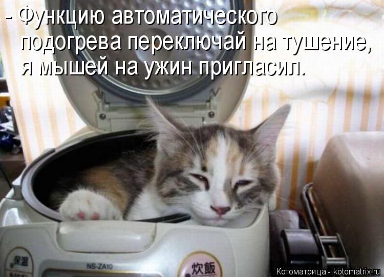 Котоматрица: - Функцию автоматического  подогрева переключай на тушение,  я мышей на ужин пригласил.