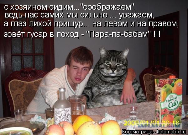 Котоматрица: с хозяином сидим..."соображаем", ведь нас самих мы сильно ... уважаем, ведь нас самих мы сильно ... уважаем, а глаз лихой прищур... на левом и на пр