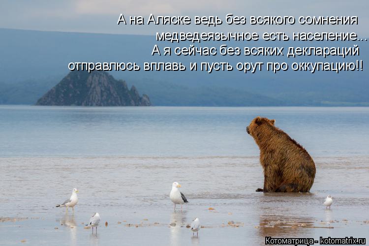 Котоматрица: медведеязычное есть население... А я сейчас без всяких деклараций отправлюсь вплавь и пусть орут про оккупацию!! А на Аляске ведь без всяког