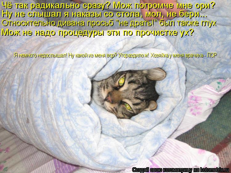 Котоматрица: Чё так радикально сразу? Мож погромче мне ори? Ну не слышал я наказы со стола, мол, не бери... Относительно дивана просьб "не драть!" был также г