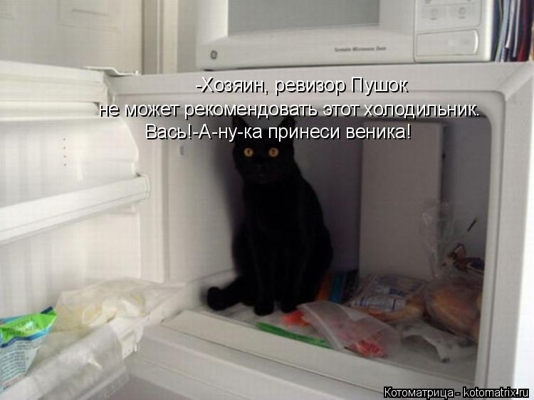Котоматрица: -Хозяин, ревизор пушок рекомендовать этот холодильник не может! -Хозяин, ревизор Пушок не может рекомендовать этот холодильник. не может ре