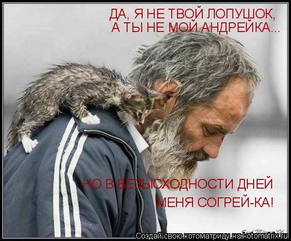 Котоматрица: ДА, Я НЕ ТВОЙ ЛОПУШОК,  А ТЫ НЕ МОЙ АНДРЕЙКА... НО В БЕЗЫСХОДНОСТИ ДНЕЙ  МЕНЯ СОГРЕЙ-КА!