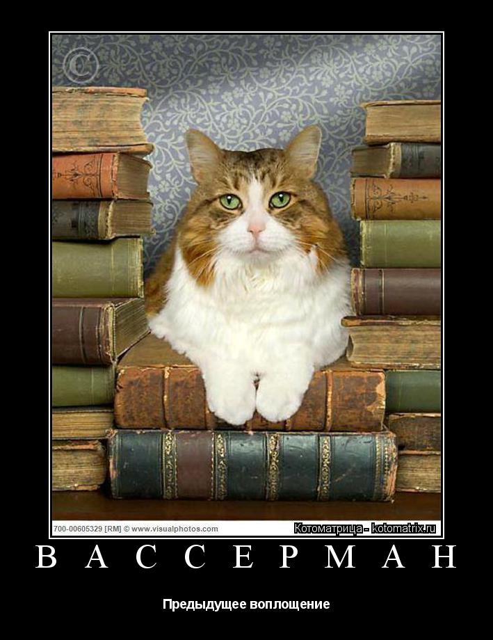 Котоматрица: В А С С Е Р М А Н  Предыдущее воплощение