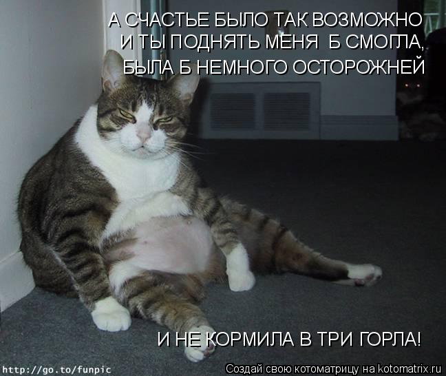 Котоматрица: А СЧАСТЬЕ БЫЛО ТАК ВОЗМОЖНО  БЫЛА Б НЕМНОГО ОСТОРОЖНЕЙ И НЕ КОРМИЛА В ТРИ ГОРЛА! И ТЫ ПОДНЯТЬ МЕНЯ  Б СМОГЛА,