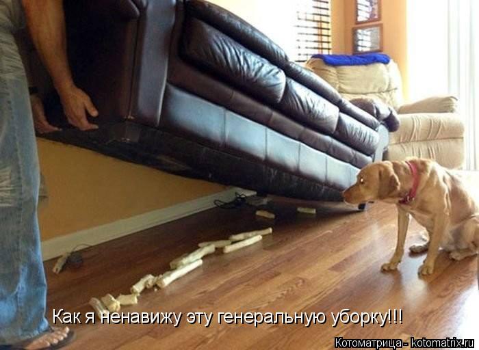 Котоматрица: Как я ненавижу эту генеральную уборку!!!