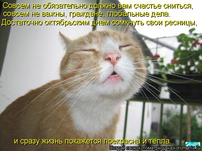 Котоматрица: Совсем не обязательно должно вам счастье сниться,  совсем не важны, граждане, глобальные дела.  Достаточно октябрьским днем сомкнуть свои р