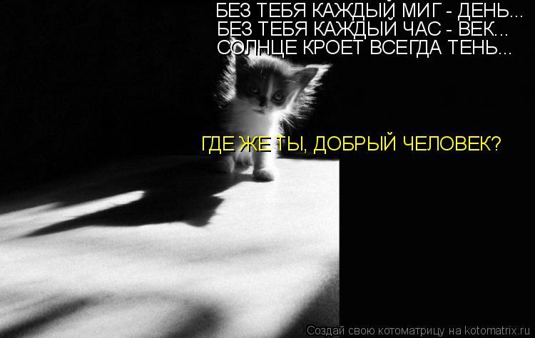 Котоматрица: БЕЗ ТЕБЯ КАЖДЫЙ МИГ - ДЕНЬ... БЕЗ ТЕБЯ КАЖДЫЙ ЧАС - ВЕК... СОЛНЦЕ КРОЕТ ВСЕГДА ТЕНЬ... ГДЕ ЖЕ ТЫ, ДОБРЫЙ ЧЕЛОВЕК?