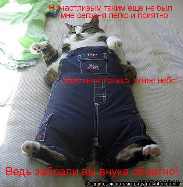 Котоматрица: Я счастливым таким еще не был,  мне сегодня легко и приятно. Надо мной только  синее небо! Ведь забрали вы внука обратно!