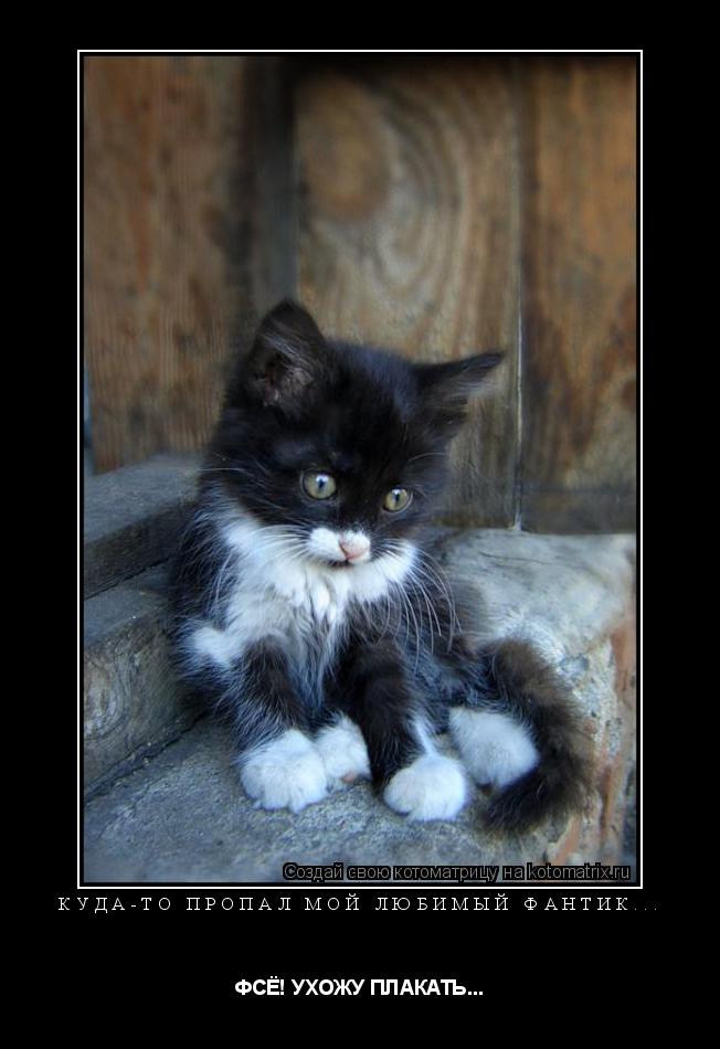 Котоматрица: КУДА-ТО ПРОПАЛ МОЙ ЛЮБИМЫЙ ФАНТИК... ФСЁ! УХОЖУ ПЛАКАТЬ...