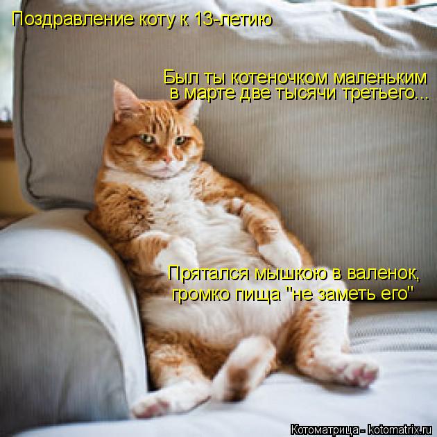 Котоматрица: Поздравление коту к 13-летию Был ты котеночком маленьким   в марте две тысячи третьего... Прятался мышкою в валенок,  громко пища "не заметь ег
