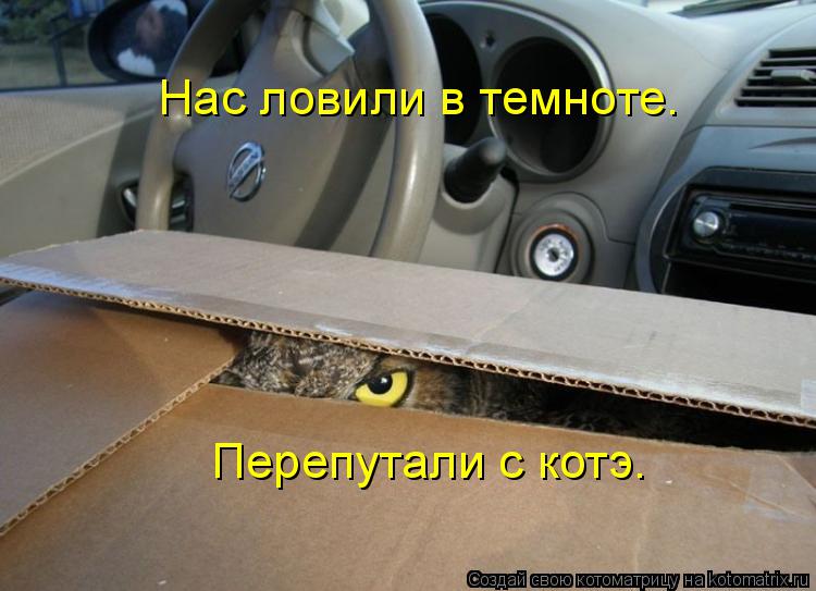 Нас ловили в темноте. Перепутали с котэ.... Котоматрица: Нас ловили в темноте. Перепутали с котэ.