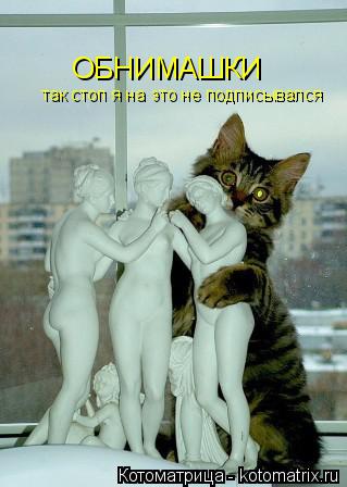 Котоматрица: ОБНИМАШКИ так стоп я на это не подписывался