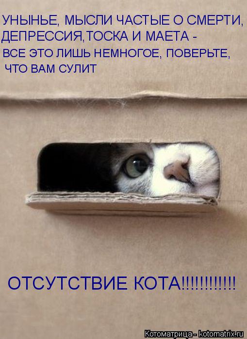 Котоматрица: УНЫНЬЕ, МЫСЛИ ЧАСТЫЕ О СМЕРТИ,  ДЕПРЕССИЯ,ТОСКА И МАЕТА -  ВСЕ ЭТО ЛИШЬ НЕМНОГОЕ, ПОВЕРЬТЕ,  ЧТО ВАМ СУЛИТ ОТСУТСТВИЕ КОТА!!!!!!!!!!!!
