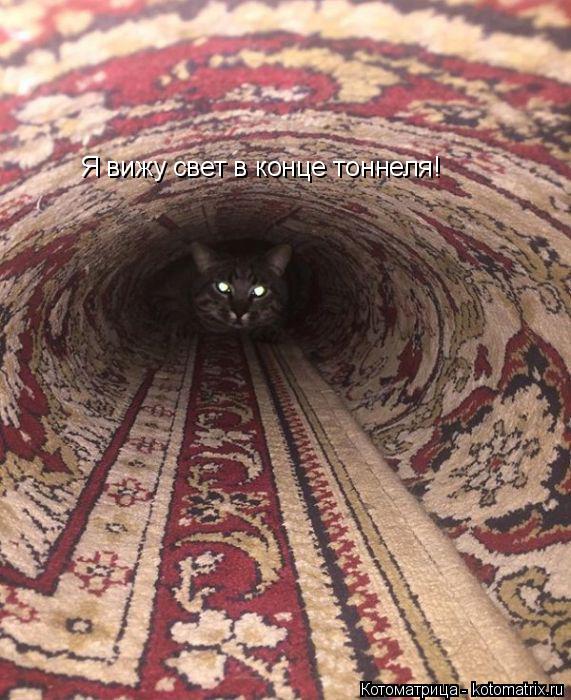 Котоматрица: Я вижу свет в конце тоннеля!