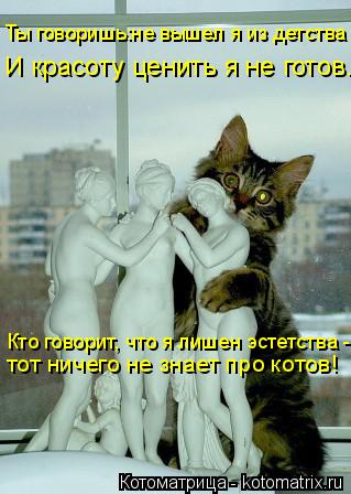 Котоматрица: Кто говорит, что я лишен эстетства -  тот ничего не знает про котов! Ты говоришь:не вышел я из детства И красоту ценить я не готов...
