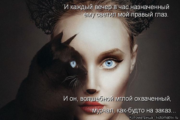 Котоматрица: И каждый вечер в час назначенный  ему светил мой правый глаз. мурчал, как-будто на заказ... И он, волшебной мглой охваченный,