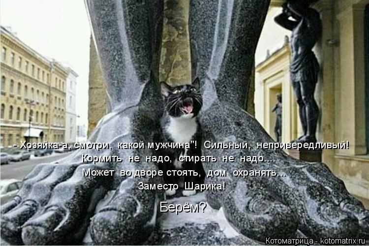 Котоматрица: - Хозяйка-а, смотри,  какой мужчина"!  Сильный,  непривередливый!  Кормить  не  надо,  стирать  не  надо....  Может  во дворе стоять,  дом  охранять... 