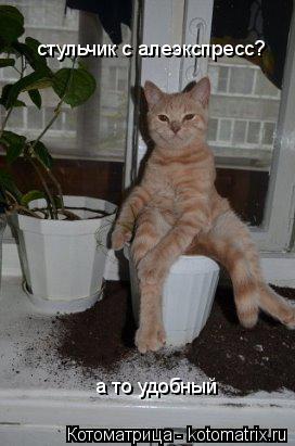 Котоматрица: стульчик с алеэкспресс? а то удобный