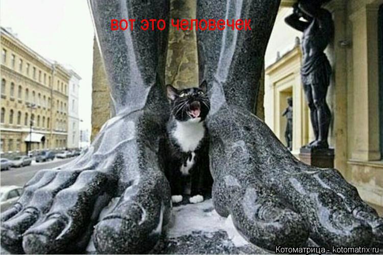 Котоматрица: вот это человечек